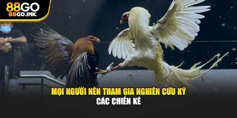 Mọi người nên tham gia nghiên cứu kỹ các chiến kê